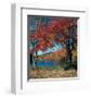 Red Maple In Autumn-null-Framed Art Print