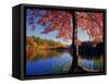 Red Maple on Lookout Lake-James Randklev-Framed Stretched Canvas