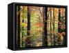 Red Maples in Berkshire Forest-James Randklev-Framed Stretched Canvas