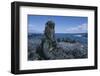 Red Marine Iguanas on Volcanic Rock-Paul Souders-Framed Photographic Print