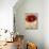 Red Masterpiece II-Louise Montillio-Mounted Art Print displayed on a wall