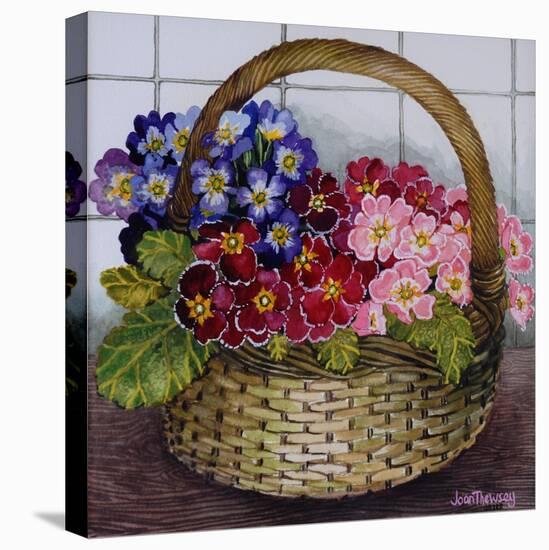 Red Mauve and Pink Primroses in a Basket, 2012-Joan Thewsey-Stretched Canvas