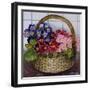 Red Mauve and Pink Primroses in a Basket, 2012-Joan Thewsey-Framed Giclee Print