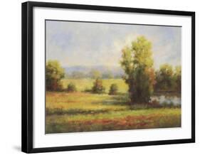 Red Meadow I-Hannah Paulsen-Framed Art Print