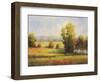 Red Meadow I-Hannah Paulsen-Framed Art Print