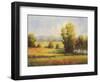 Red Meadow I-Hannah Paulsen-Framed Art Print