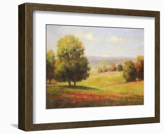 Red Meadow II-Hannah Paulsen-Framed Art Print