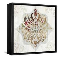 Red Medallion-Aimee Wilson-Framed Stretched Canvas