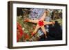 Red Mesh Starfish-Reinhard Dirscherl-Framed Photographic Print