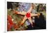 Red Mesh Starfish-Reinhard Dirscherl-Framed Photographic Print