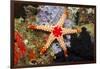 Red Mesh Starfish-Reinhard Dirscherl-Framed Photographic Print