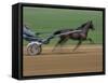 Red Mile Harness Track, Lexington, Kentucky, USA-null-Framed Stretched Canvas