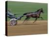 Red Mile Harness Track, Lexington, Kentucky, USA-null-Stretched Canvas