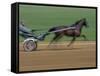 Red Mile Harness Track, Lexington, Kentucky, USA-null-Framed Stretched Canvas