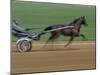 Red Mile Harness Track, Lexington, Kentucky, USA-null-Mounted Photographic Print