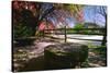 Red Mill in Spring, Clinton, New Jersey-George Oze-Stretched Canvas