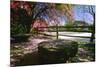 Red Mill in Spring, Clinton, New Jersey-George Oze-Mounted Photographic Print