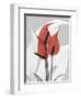 Red Moment Flamingo-Albert Koetsier-Framed Premium Giclee Print