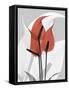 Red Moment Flamingo-Albert Koetsier-Framed Stretched Canvas