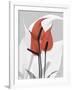 Red Moment Flamingo-Albert Koetsier-Framed Premium Giclee Print