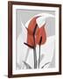 Red Moment Flamingo-Albert Koetsier-Framed Premium Giclee Print