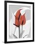 Red Moment Flamingo-Albert Koetsier-Framed Premium Giclee Print