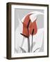 Red Moment Flamingo-Albert Koetsier-Framed Premium Giclee Print