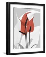 Red Moment Flamingo-Albert Koetsier-Framed Premium Giclee Print