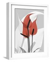 Red Moment Flamingo-Albert Koetsier-Framed Premium Giclee Print