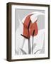 Red Moment Flamingo-Albert Koetsier-Framed Art Print