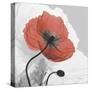 Red Moment Poppy 1-Albert Koetsier-Stretched Canvas