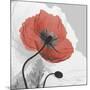 Red Moment Poppy 1-Albert Koetsier-Mounted Art Print