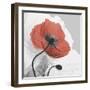 Red Moment Poppy 1-Albert Koetsier-Framed Art Print