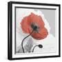 Red Moment Poppy 1-Albert Koetsier-Framed Art Print