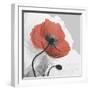 Red Moment Poppy 1-Albert Koetsier-Framed Art Print