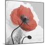 Red Moment Poppy 1-Albert Koetsier-Mounted Art Print