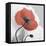 Red Moment Poppy 1-Albert Koetsier-Framed Stretched Canvas