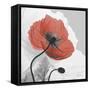 Red Moment Poppy 1-Albert Koetsier-Framed Stretched Canvas