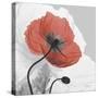 Red Moment Poppy 1-Albert Koetsier-Stretched Canvas