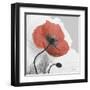 Red Moment Poppy 1-Albert Koetsier-Framed Art Print