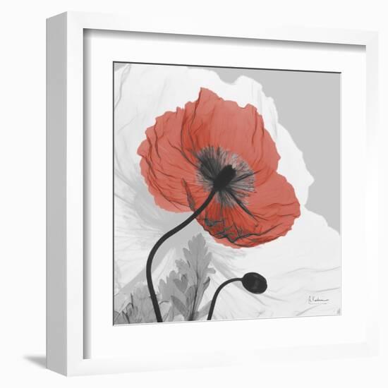 Red Moment Poppy 1-Albert Koetsier-Framed Art Print