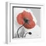 Red Moment Poppy 1-Albert Koetsier-Framed Art Print