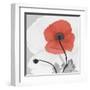 Red Moment Poppy 2-Albert Koetsier-Framed Art Print