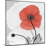 Red Moment Poppy 2-Albert Koetsier-Mounted Art Print