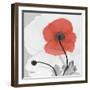 Red Moment Poppy 2-Albert Koetsier-Framed Art Print