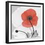 Red Moment Poppy 2-Albert Koetsier-Framed Art Print