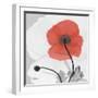 Red Moment Poppy 2-Albert Koetsier-Framed Art Print