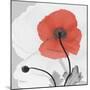 Red Moment Poppy 2-Albert Koetsier-Mounted Art Print