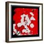 Red Money Plant-Herb Dickinson-Framed Photographic Print