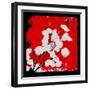 Red Money Plant-Herb Dickinson-Framed Photographic Print